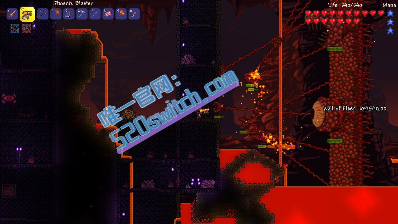 泰拉瑞亚 Terraria Switch 4.53 中文金手指下载_1