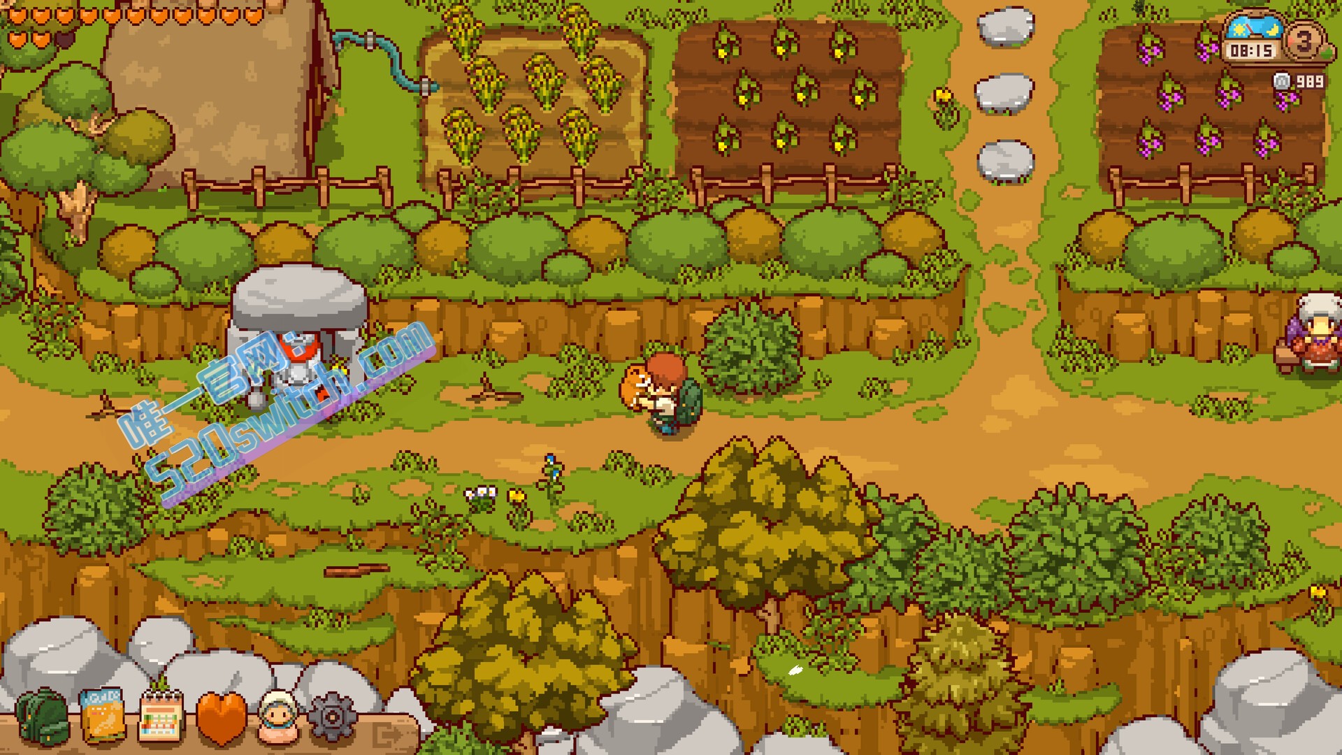 日本乡下生活 Japanese Rural Life Adventure Switch 1.1.0 金手指下载_1