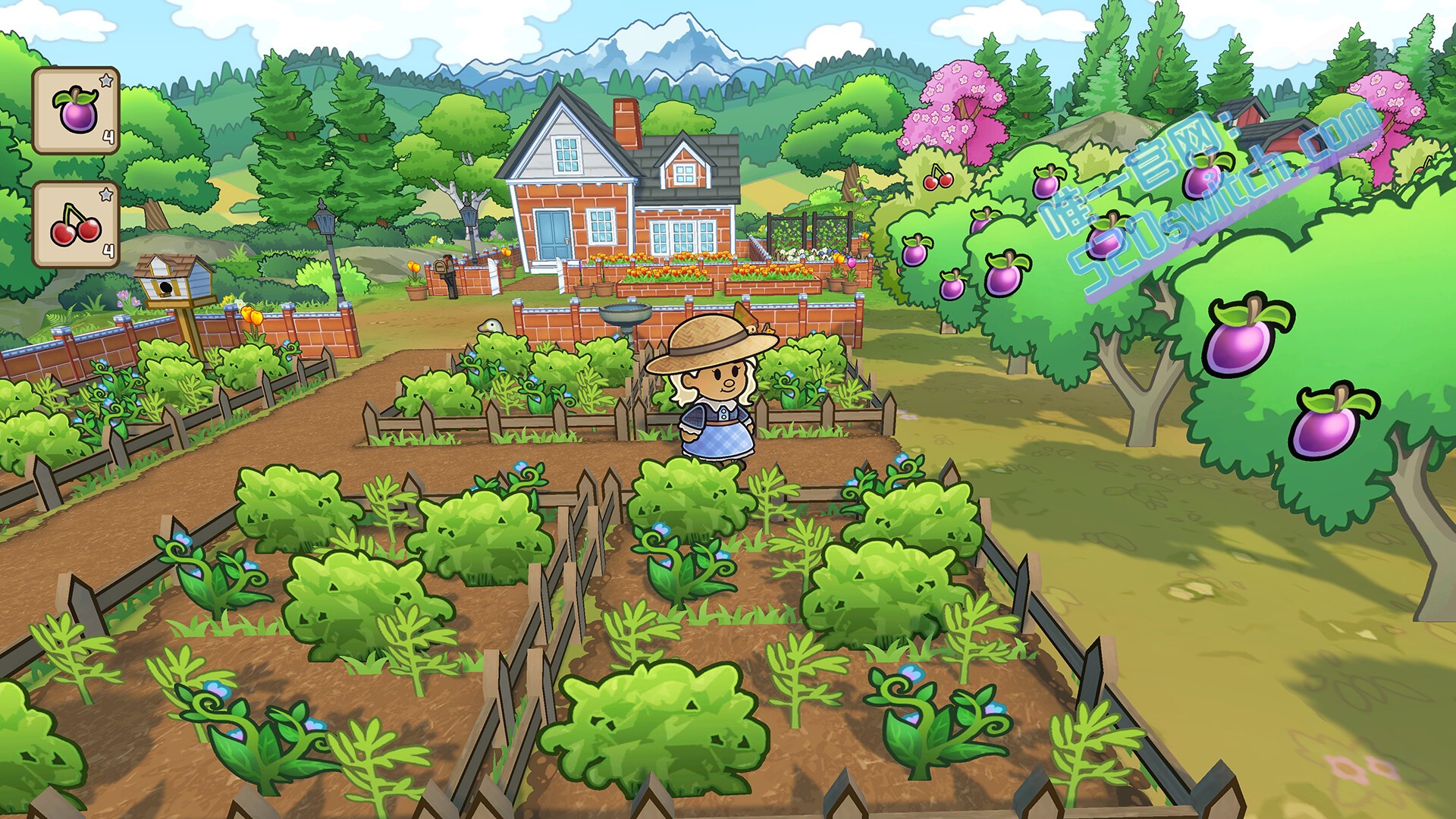 《梅林的回声 Echoes of the Plum Grove》Switch 1.0.6.05n补丁_2