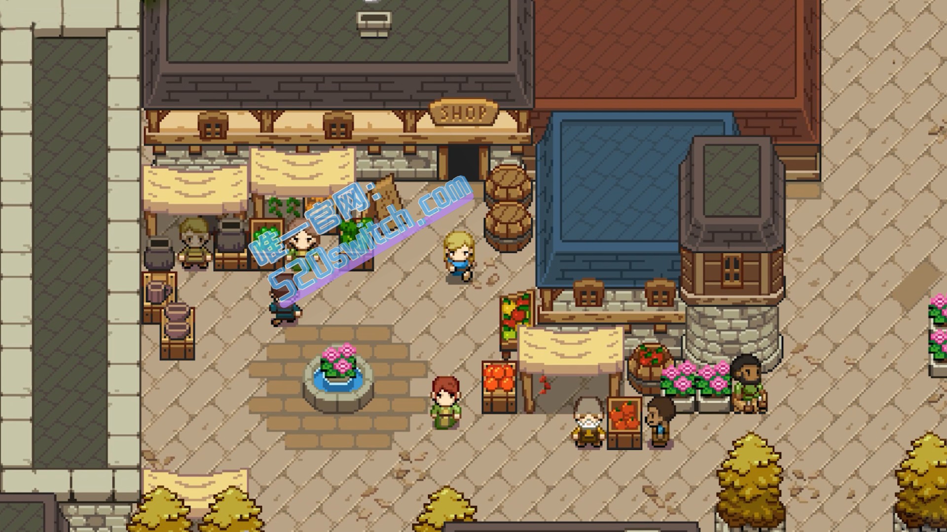 《海洋之心 Ocean’s Heart》Switch 1.0.0补丁_1