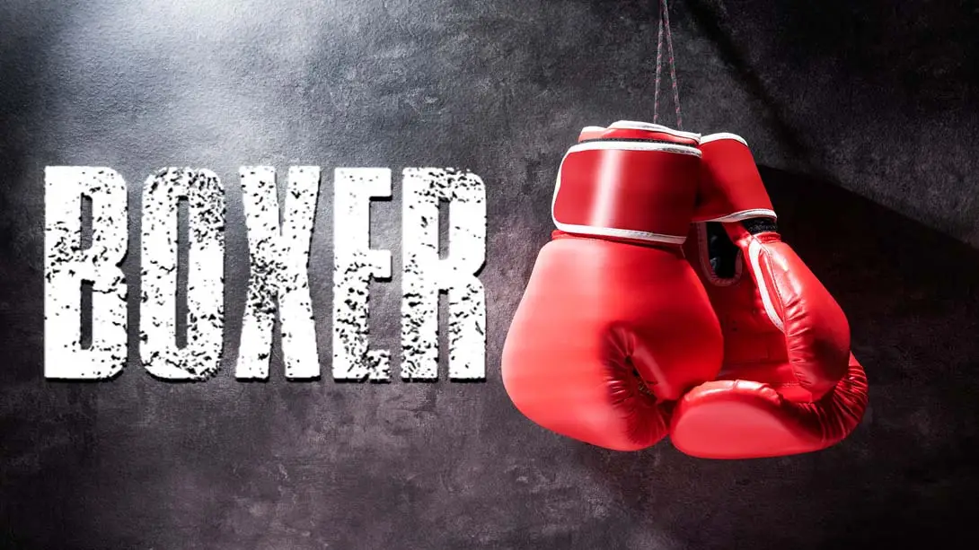 《拳击手 Boxer》Switch版1.0.0补丁_0