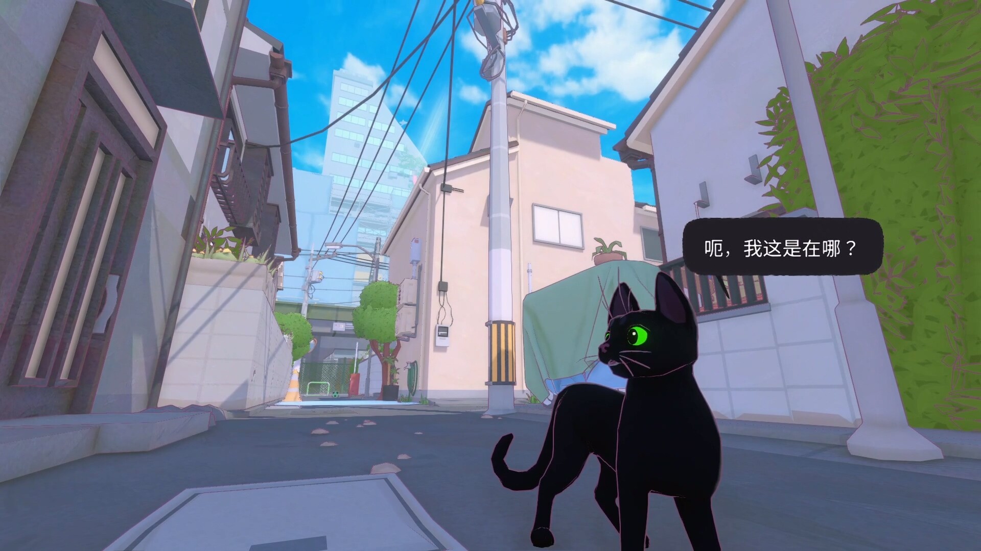 [5.05] 小猫咪大城市 ps4美版中文+1.10.补丁_3