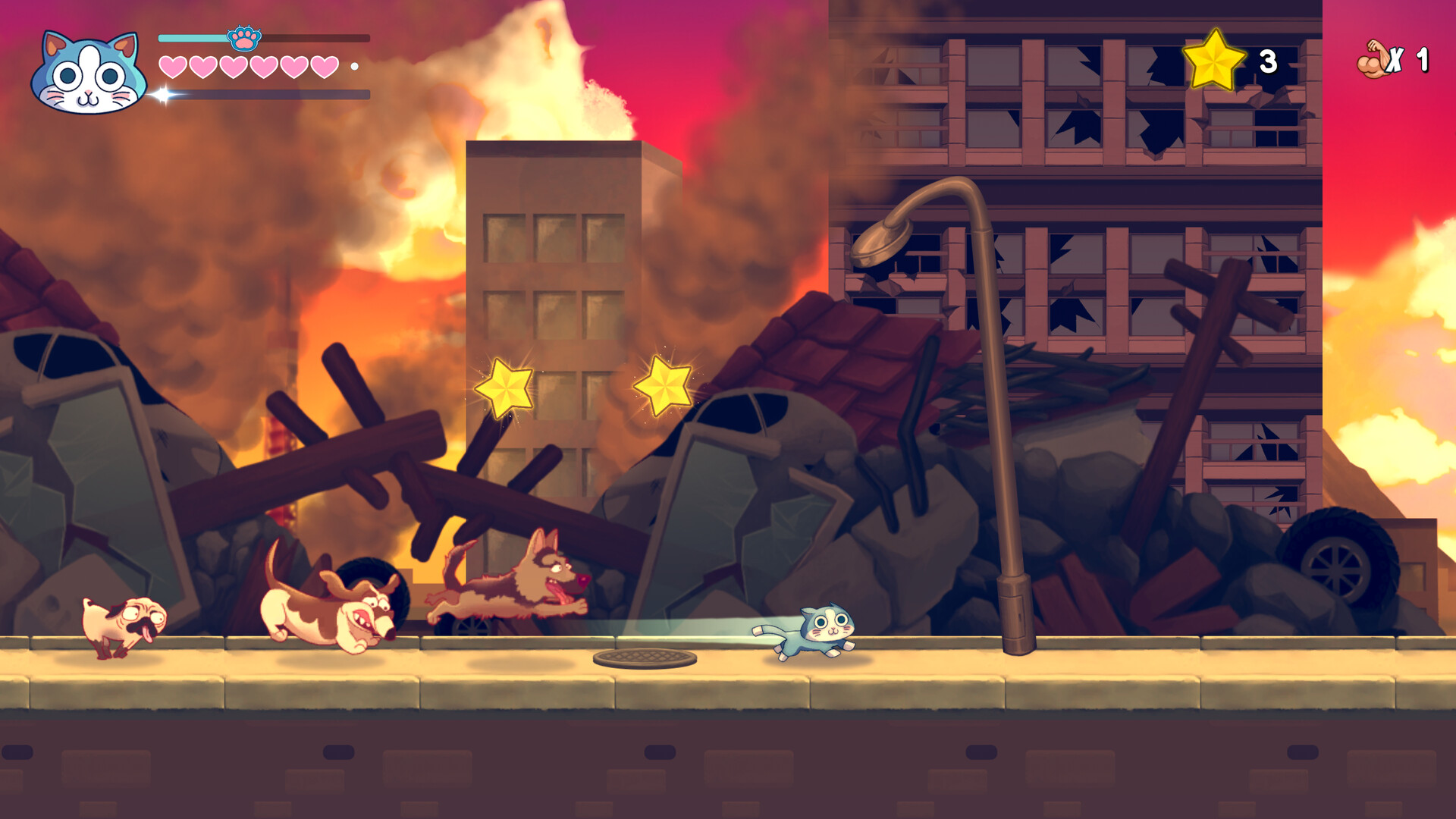 《超级筋肉猫/KinnikuNeko: SUPER MUSCLE CAT》PC版含Build.22621148_1
