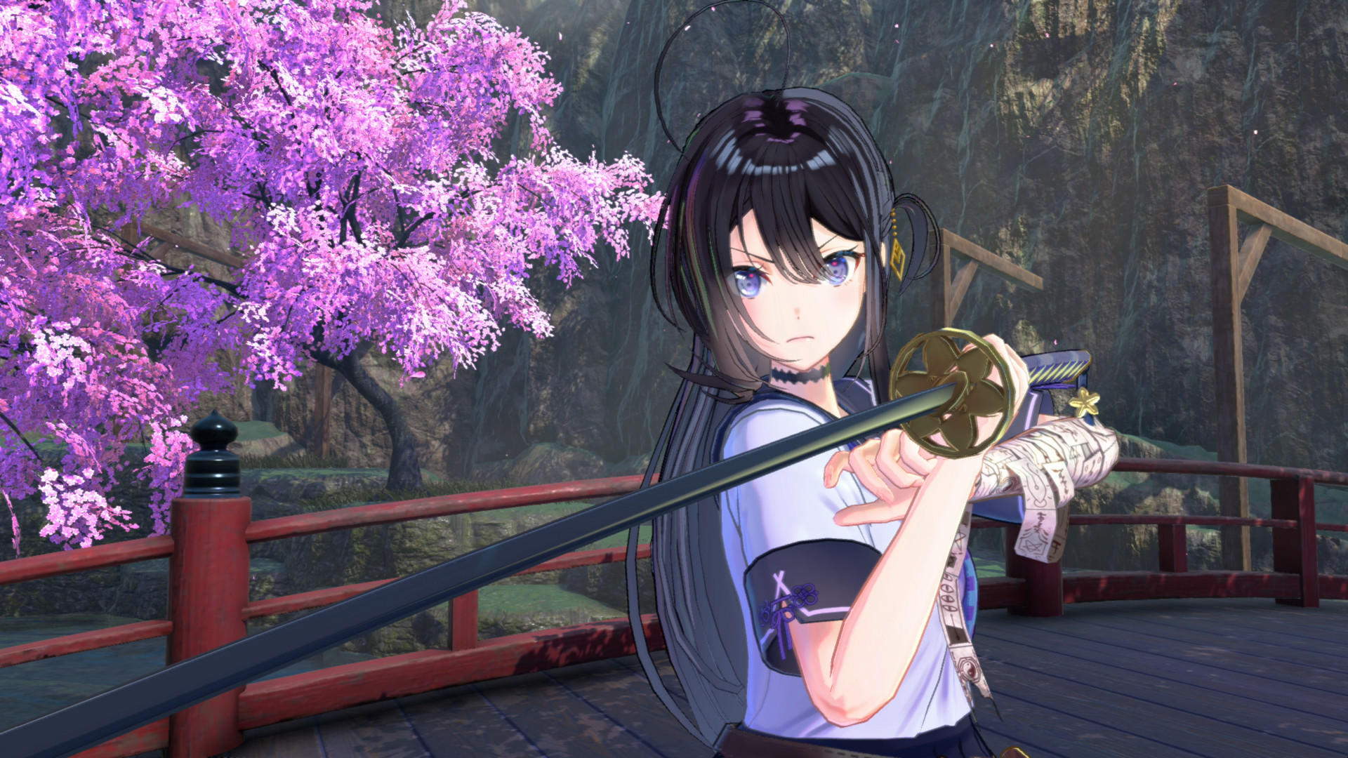 武士少女 SAMURAI MAIDEN Switch 1.6.0 金手指下载_2
