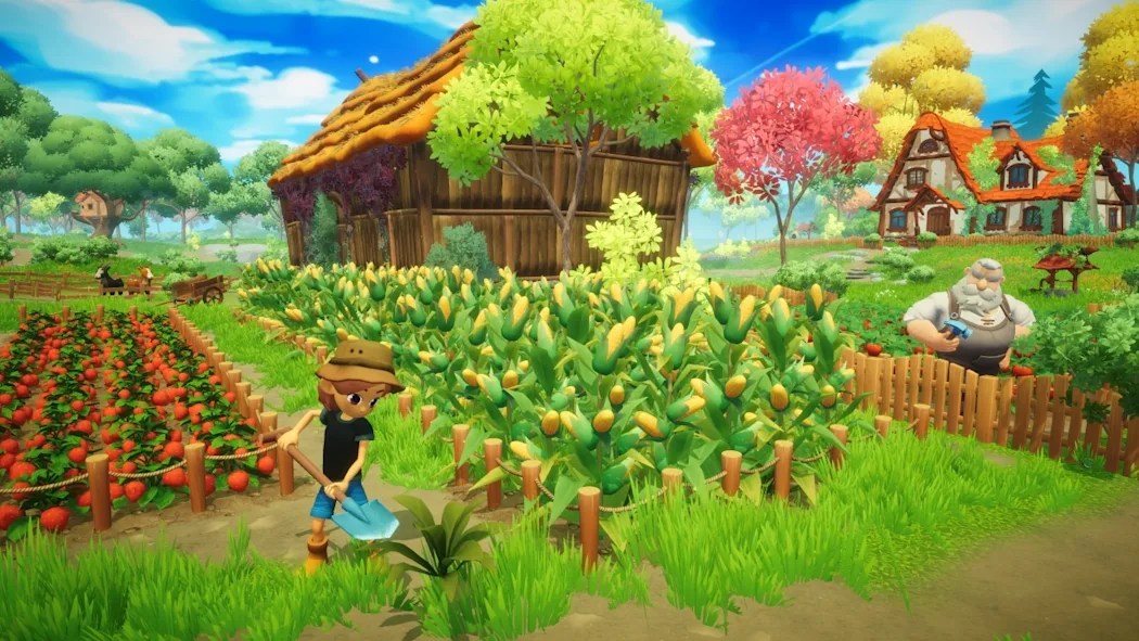 《梦幻谷 Everdream Valley》Switch版+1.0.13补丁_2