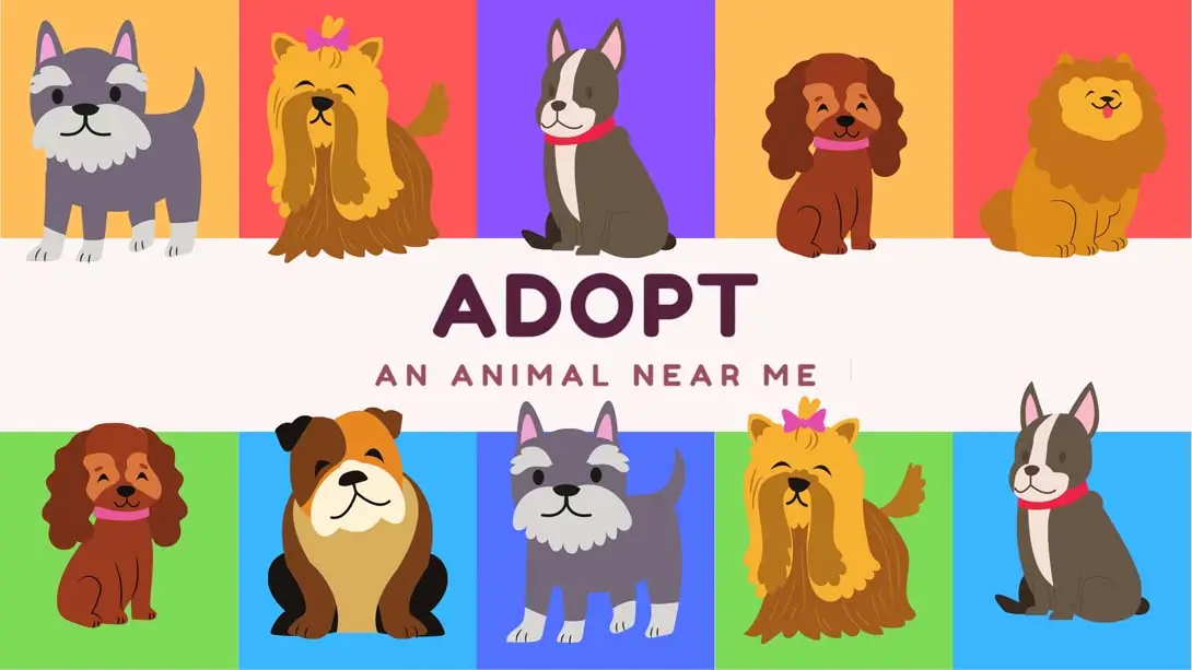 《在我附近收养一只动物 Adopt an animal near me》Switch版+1.0.0补丁_0