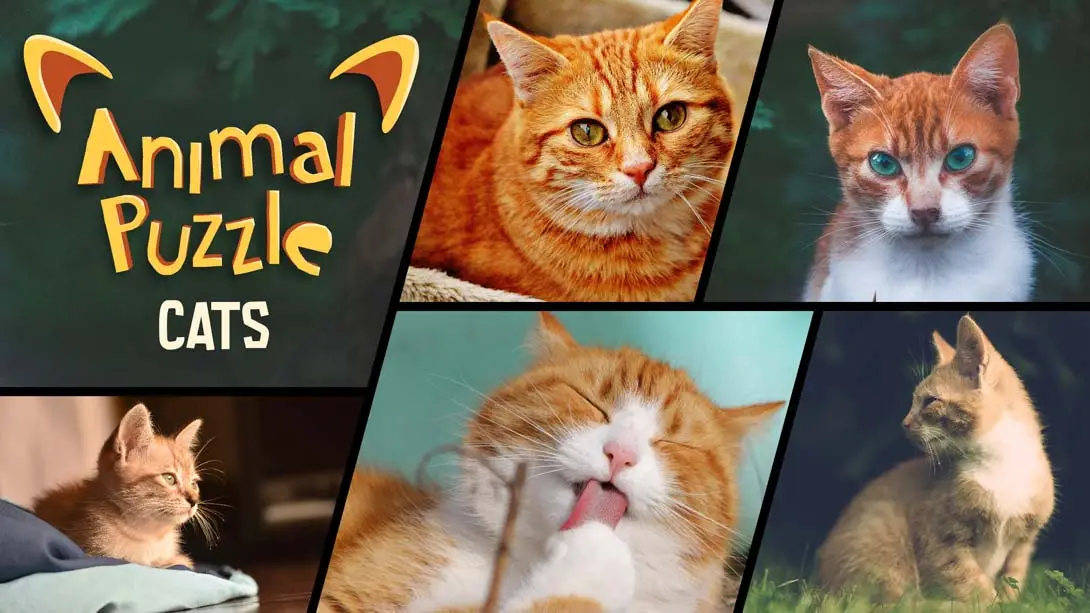 《动物拼图猫 Animal Puzzle Cats》Switch版+1.0.6补丁_0