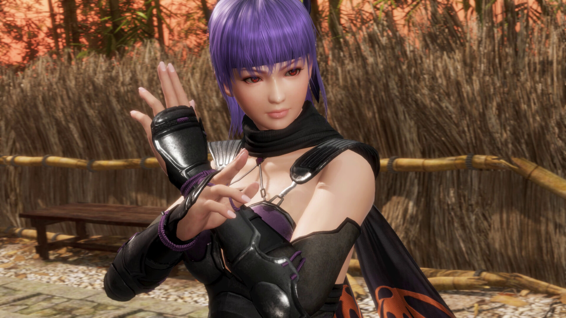 《死或生6：最后一战/DEAD OR ALIVE 6 Last Round》PC版含v1.00a_2