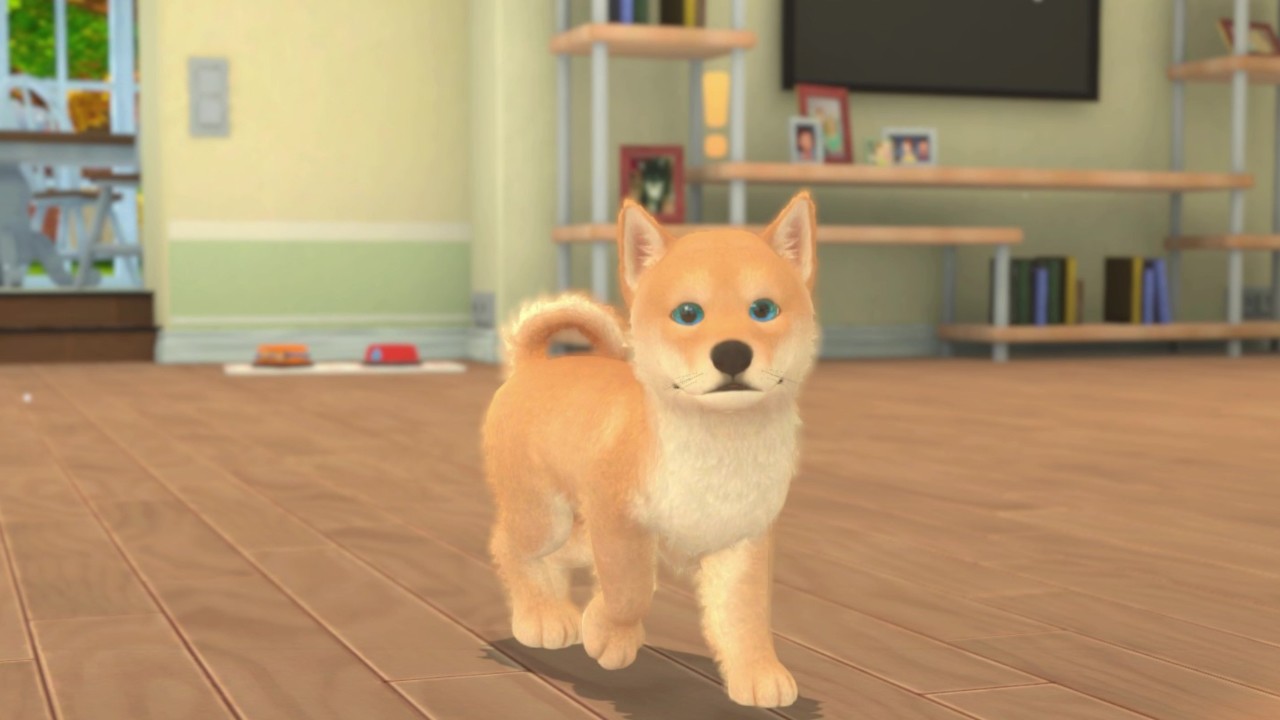 《我的领域：小猫小狗 My Universe – Puppies and Kittens》Switch版+1.0.2补丁_2