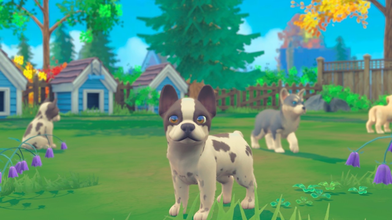 《我的领域：小猫小狗 My Universe – Puppies and Kittens》Switch版+1.0.2补丁_1