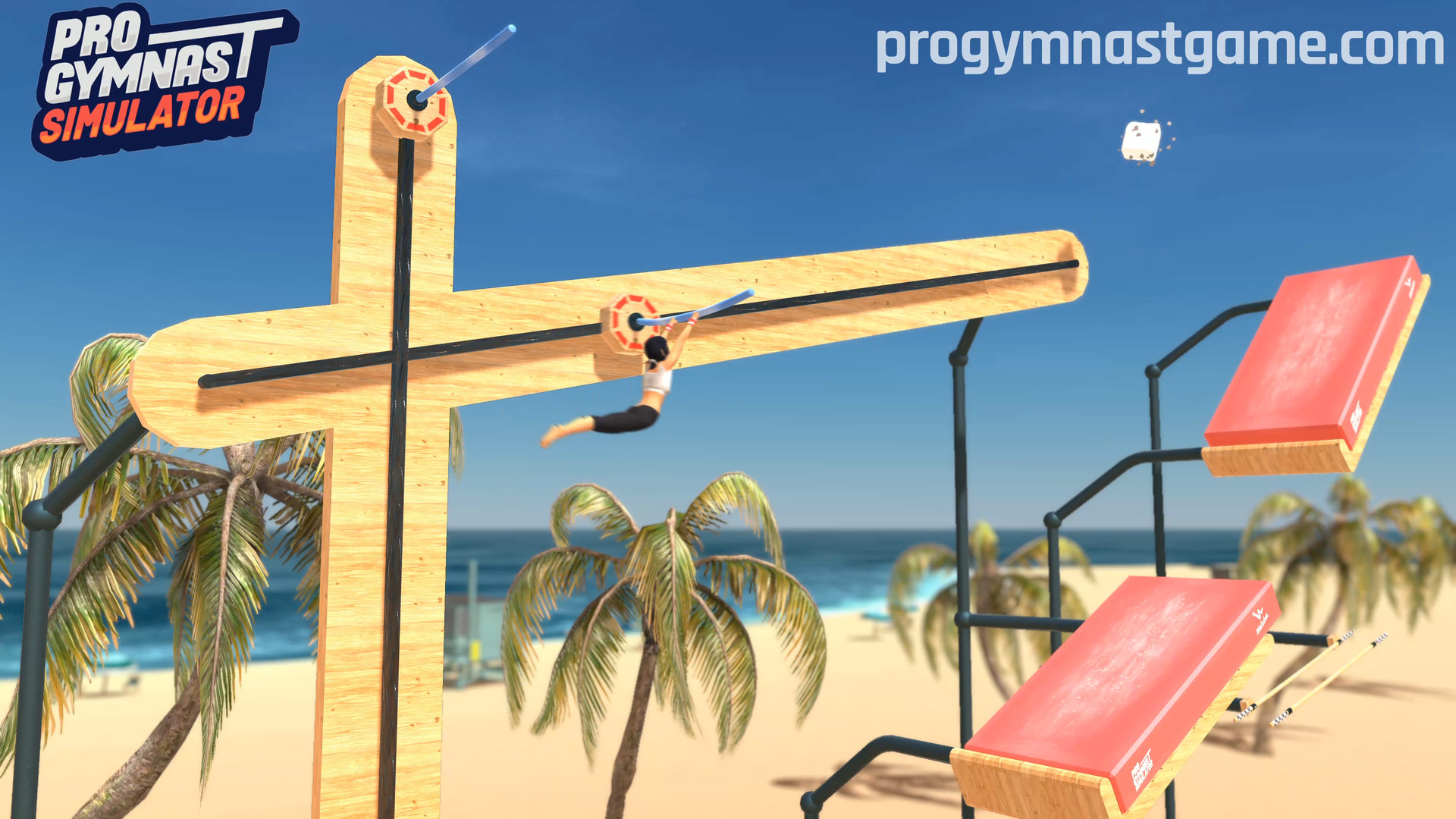 《职业体操运动员模拟器 Pro Gymnast Simulator》Switch版+1.0.0补丁_1